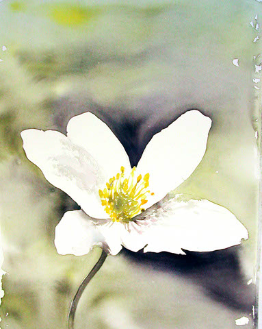 WEB_041
