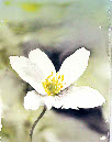WEB_041